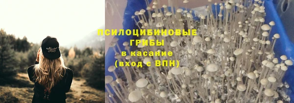 СК Дмитров