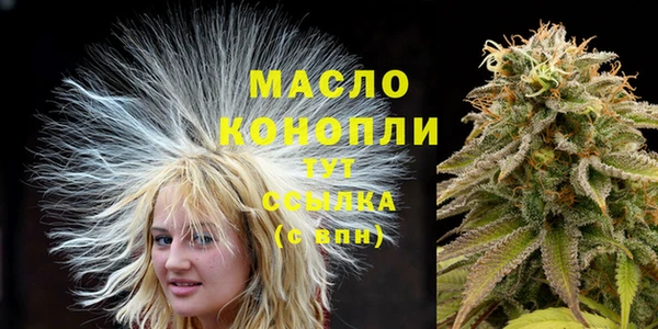 СК Дмитров