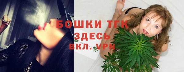 СК Дмитров