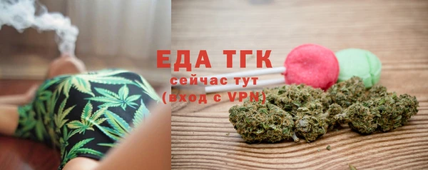тгк Дмитровск