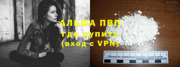 тгк Дмитровск