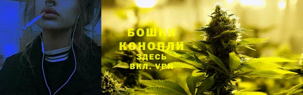СК Дмитров