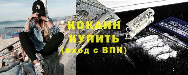тгк Дмитровск