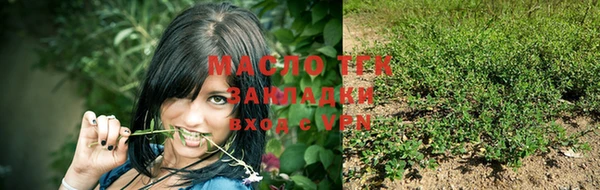 тгк Дмитровск