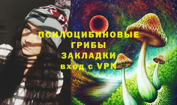 наркотики Дмитриев