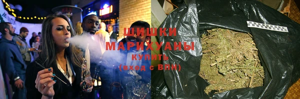 тгк Дмитровск