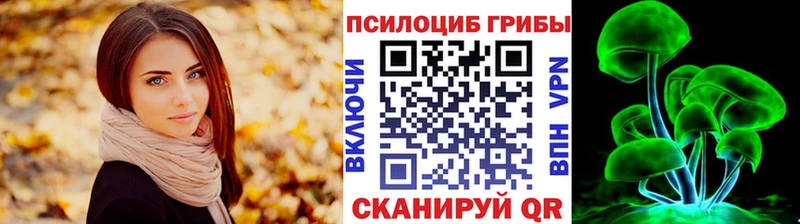 как найти закладки  Армавир  Псилоцибиновые грибы Psilocybe 